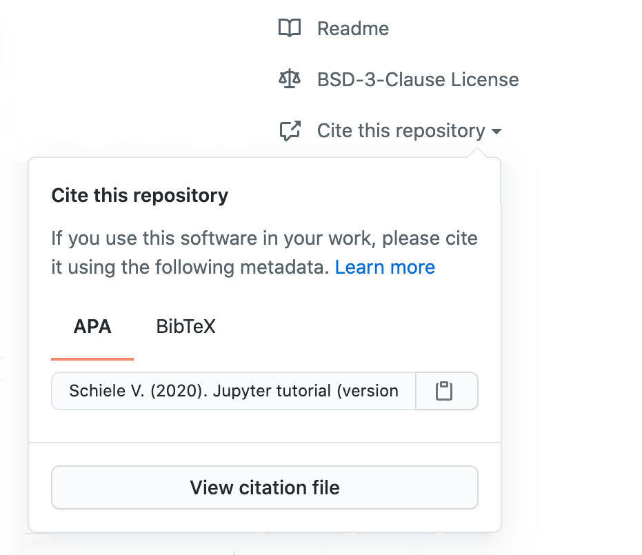 Popup auf der Zielseite eines GitHub-Repositorys mit der Möglichkeit, ADA- und BibTex-Formate zu exportieren.